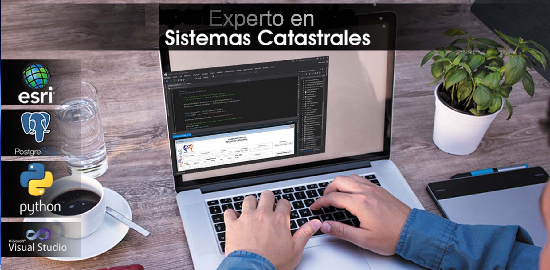 miniatura del curso
